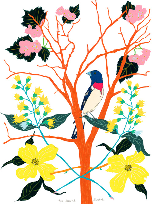 Amy Jean Porter, 20x200