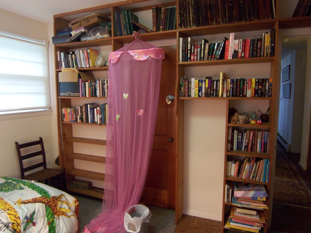 Bookshelves in bedroom