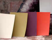 Close-up of Silk Road Plum