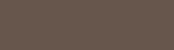 Benjamin Moore's HC-67 Clinton Brown Deep dry brown