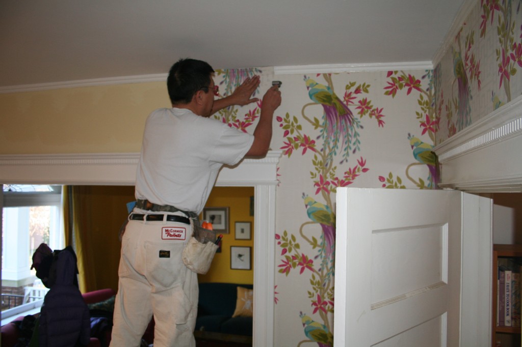 Wallpaper hanger, Nina Campbell's Paradiso wallpaper Wallpaper hanger, Nina Campbell's Paradiso wallpaper