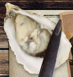 Oyster on the half shell
