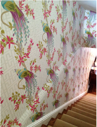 Nina Campbell's Paradiso wallpaper