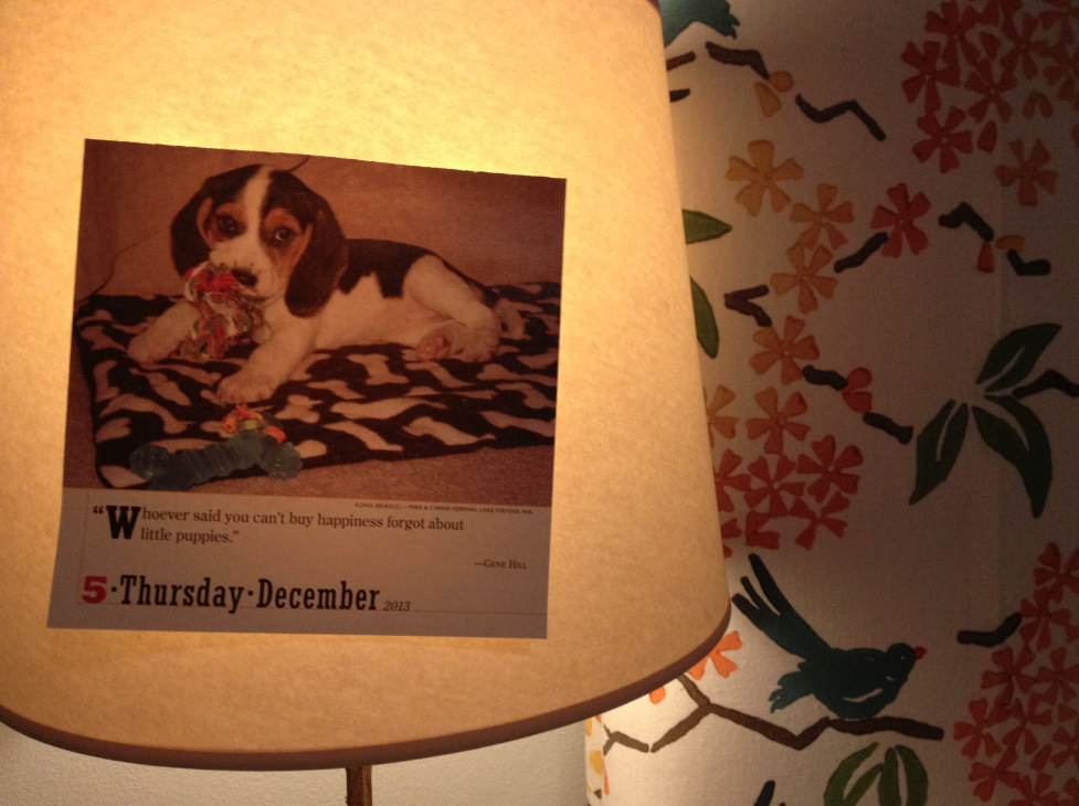Picture of puppy taped to lampshade