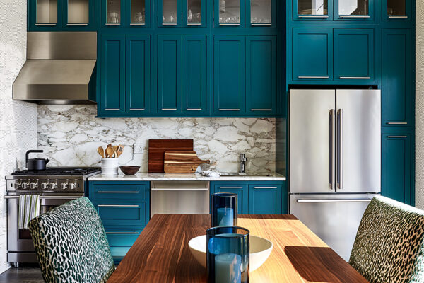 Cleveland Park Modern : Annie Elliott Design