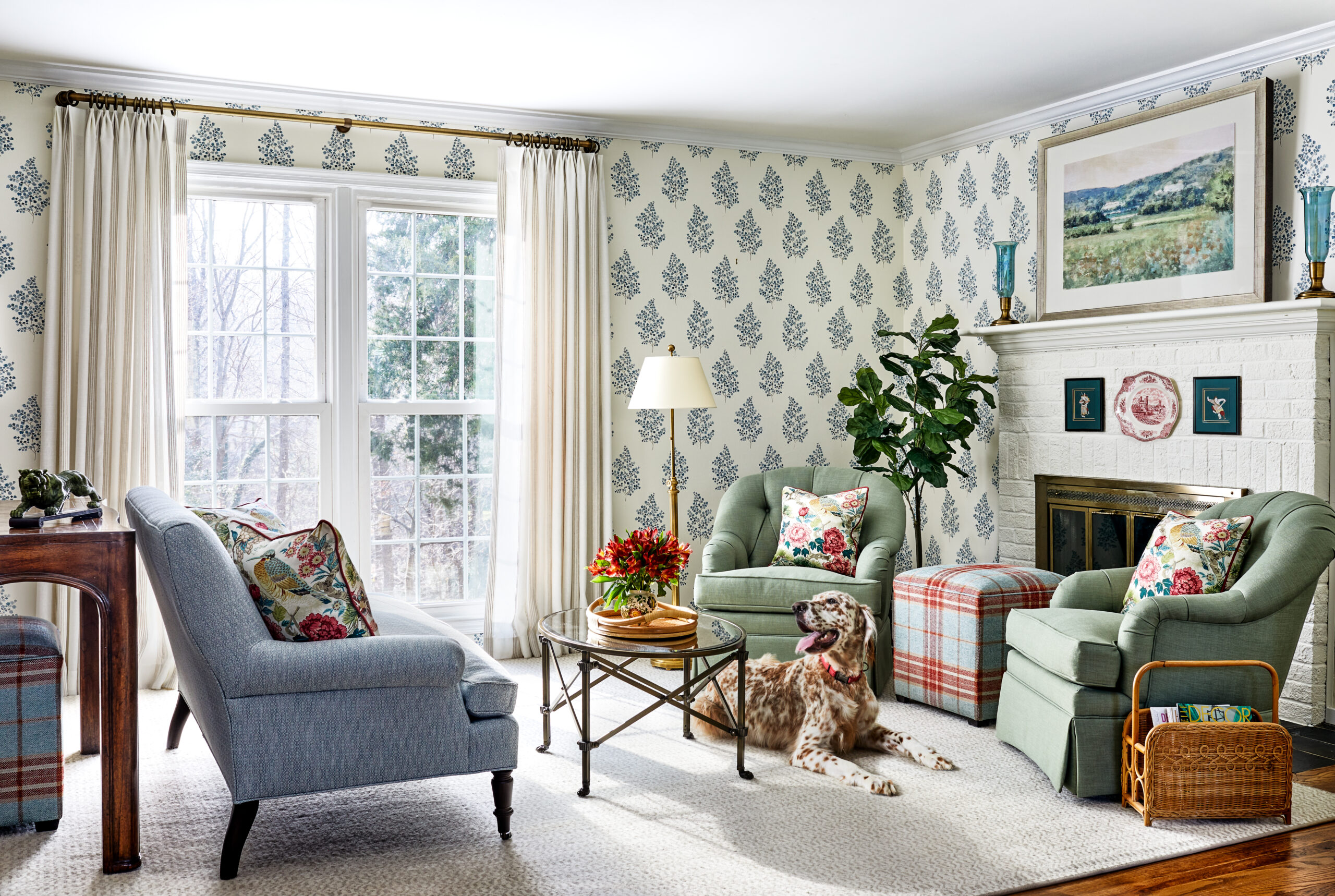 Light blue and white wallpaper, blue sofa, green chairs, and dog laying in the sun.
