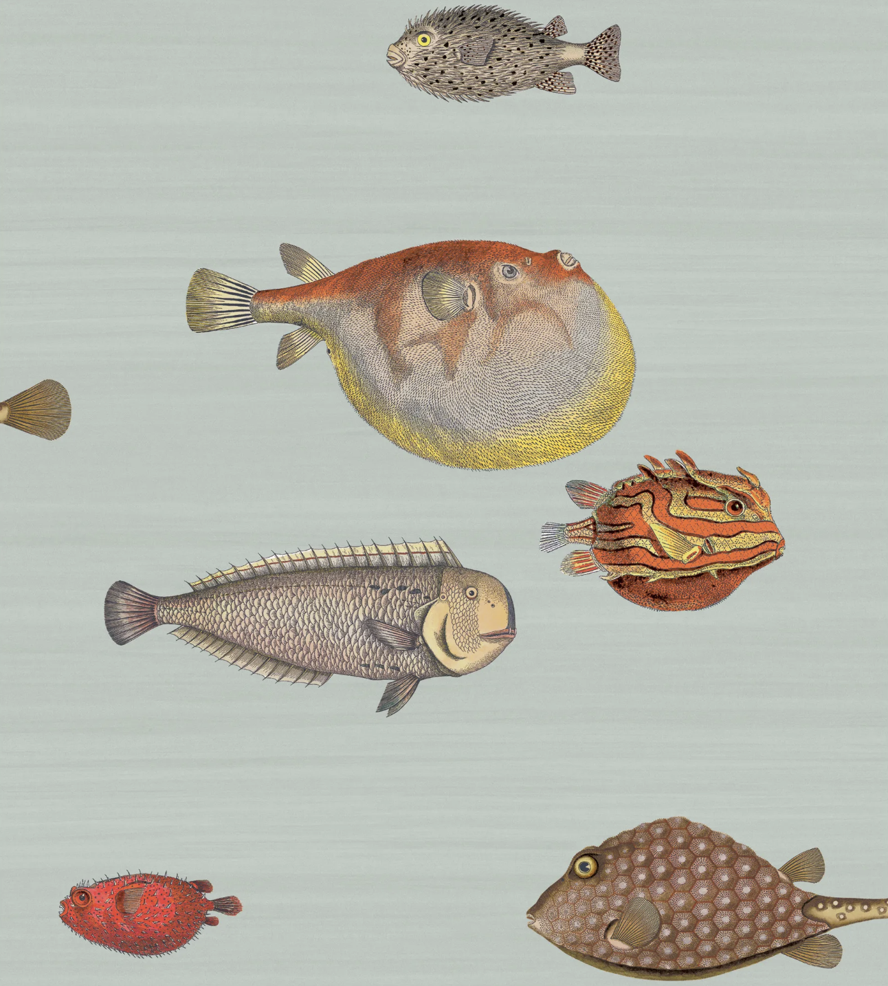 Wallpaper with large fish and a blue/green background.